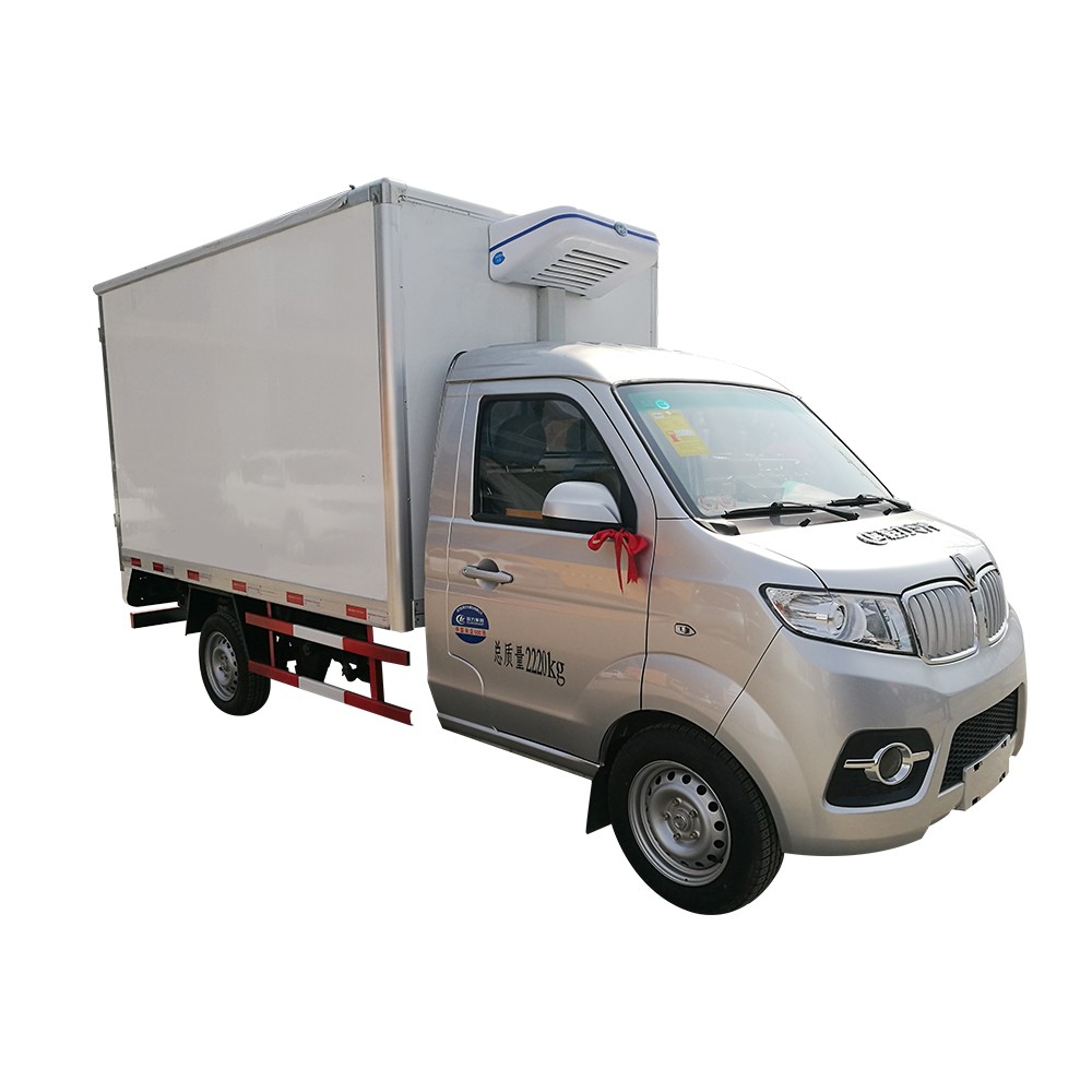 Mini camion réfrigéré de 1 tonne
